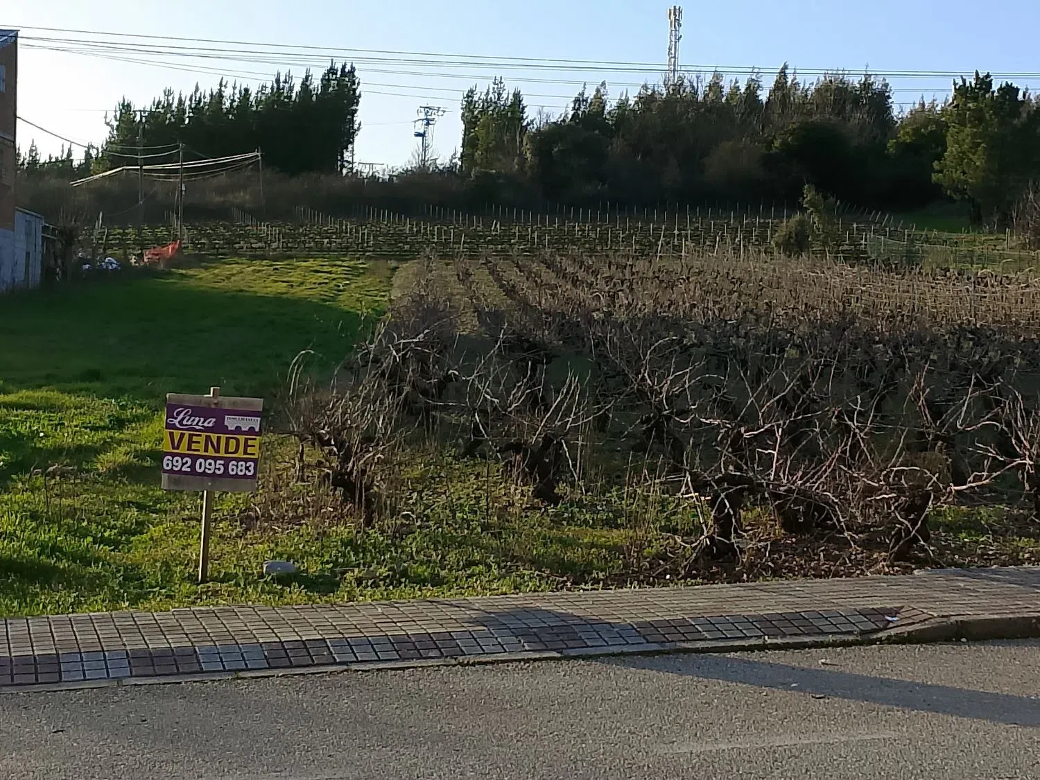 Terreno en venta en Arganza