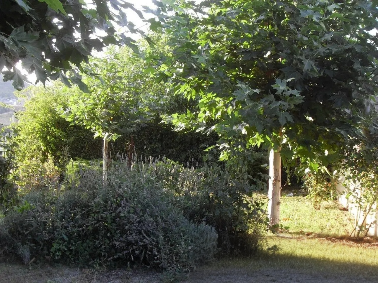 Casa de pueble en venta en Xove